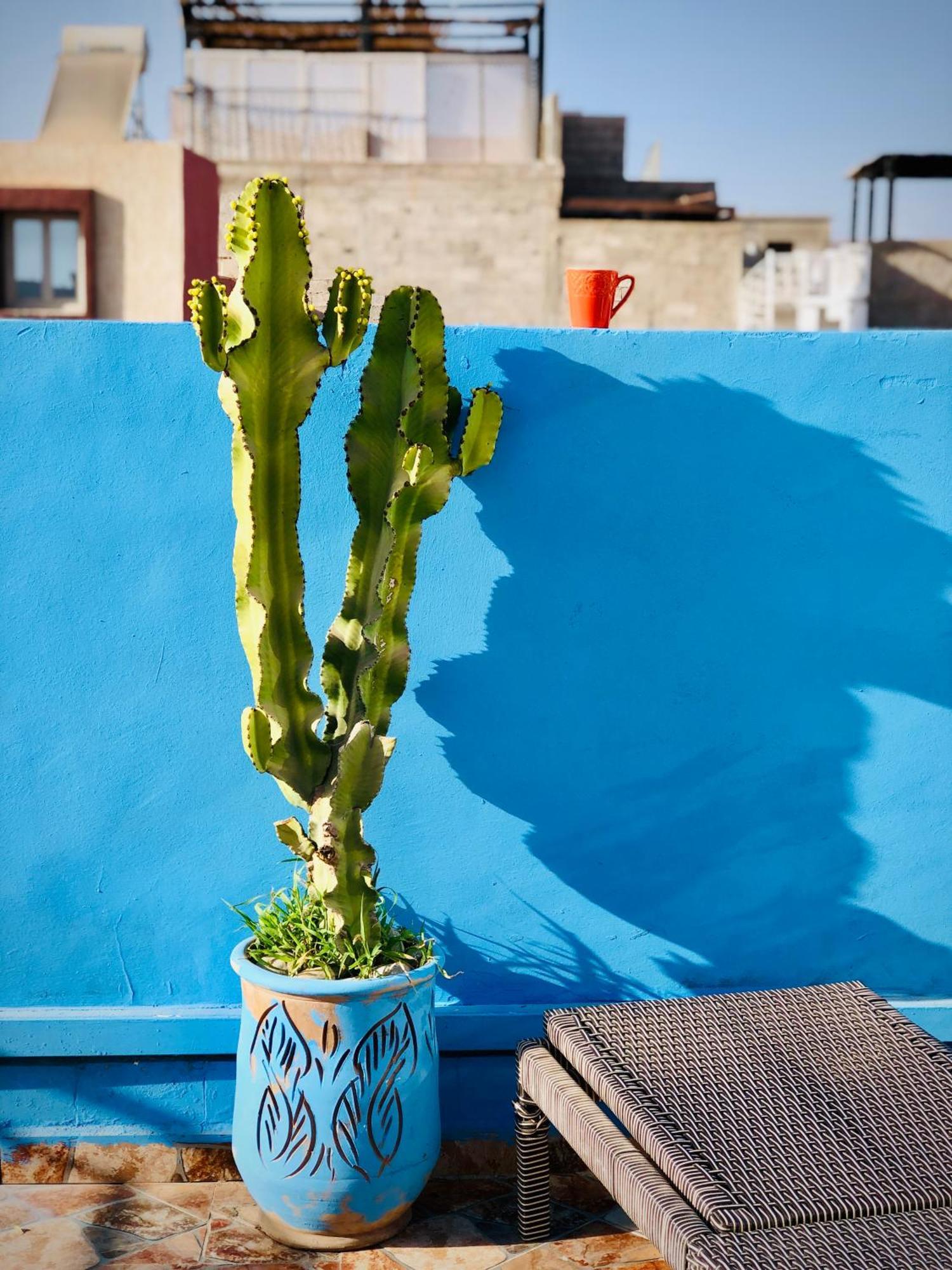 Moroccan Surf Journey Tamraght Exterior foto